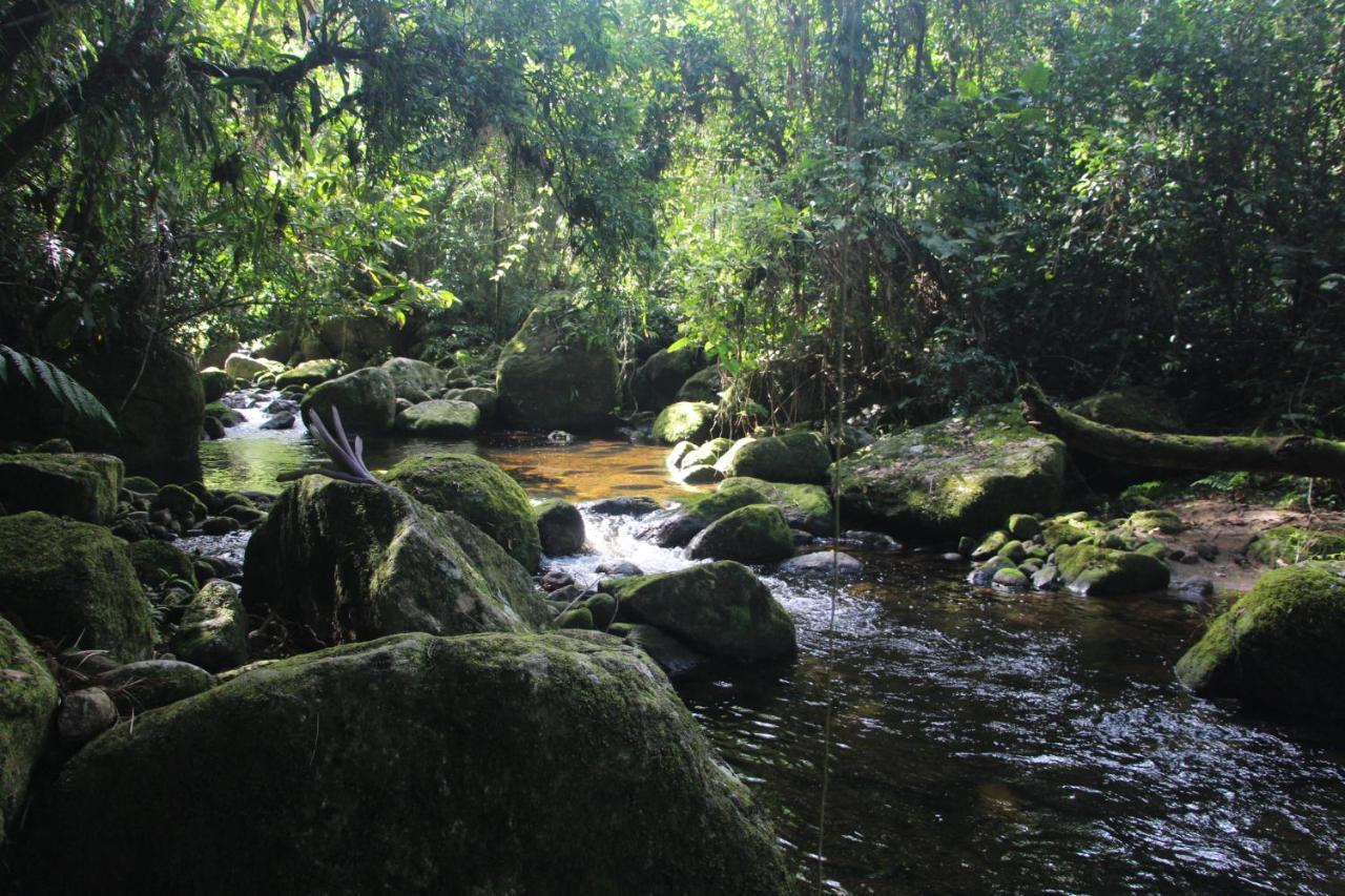 Sitio Das Bromelias Cachoeira Do Tombador Ubatuba Εξωτερικό φωτογραφία