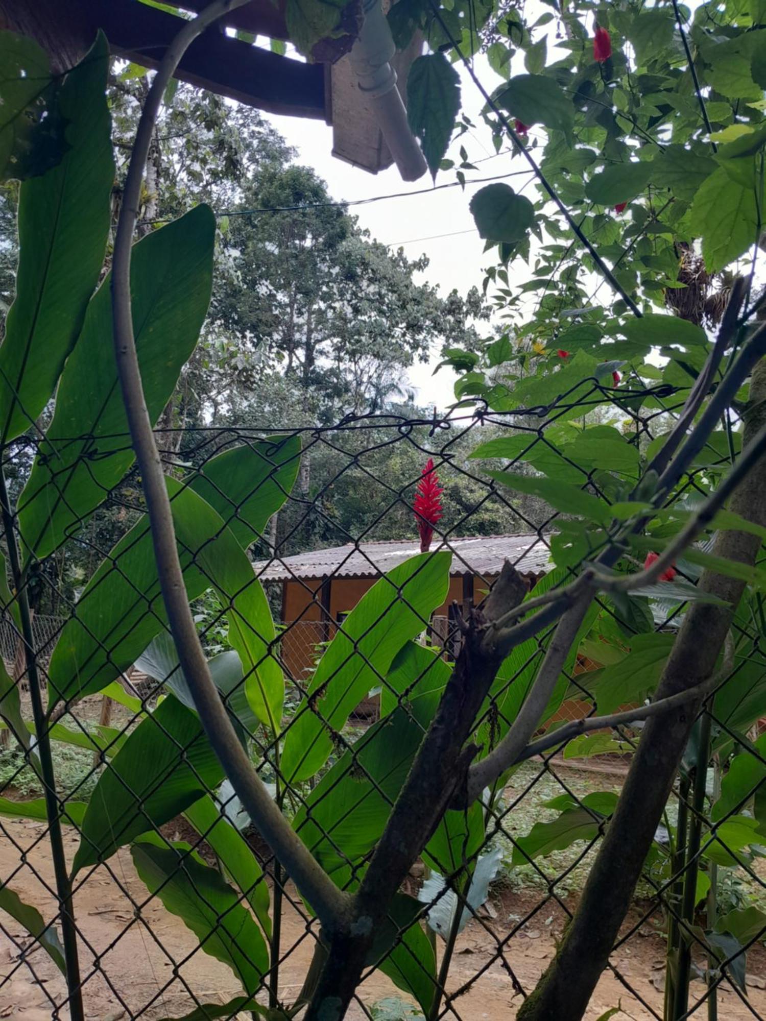 Sitio Das Bromelias Cachoeira Do Tombador Ubatuba Εξωτερικό φωτογραφία
